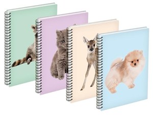 Picture of Kołozeszyt A6/80K linia mix