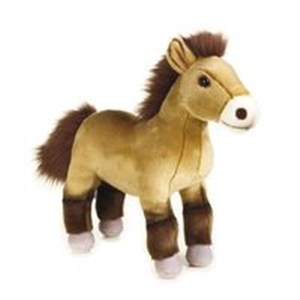 Picture of Plusz Koń Przewalskiego