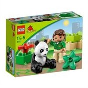 polish book : Panda 6173...