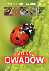 Picture of Atlas owadów 250 polskich gatunków