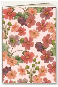 Obrazek Zeszyt ozdobny A5 48 k. linia Stokrotka