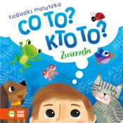 Co to? Kto... - Opracowanie Zbiorowe -  foreign books in polish 