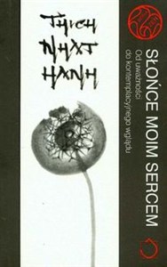 Obrazek Słońce moim sercem Od uważności do kontemplacyjnego wglądu