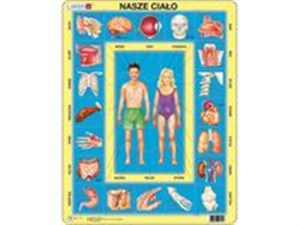 Picture of Puzzle Nasze ciało 35