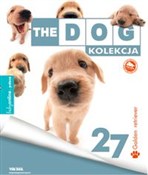 Polska książka : Golden Ret...