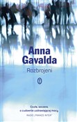 Rozbrojeni... - Anna Gavalda -  books from Poland
