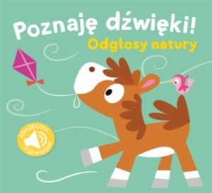 Obrazek Poznaję dźwięki. Odgłosy natury