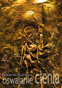 Obrazek Oswajanie cienia