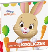 Disney mal... -  books in polish 
