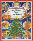 Świat w ob... - Emilie Beaumont - Ksiegarnia w UK