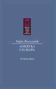 Ameryka i ... - Stefan Buszczyński -  foreign books in polish 