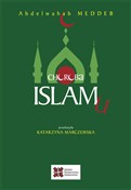 Choroba is... - Abdelwahab Meddeb -  Książka z wysyłką do UK