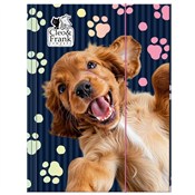 Polska książka : Teczka z g...