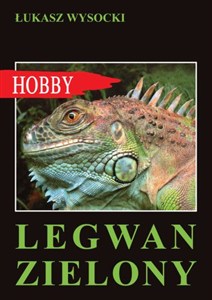 Obrazek Legwan zielony