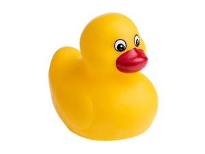 Picture of Kaczuszka do kąpieli bez dziurki