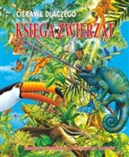 Polska książka : Ciekawe dl... - Rod Teodoru, Jackie Gaff, Andrew Charman