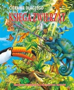 Obrazek Ciekawe dlaczego Księga zwierząt