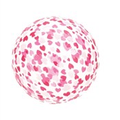 Książka : Piłka PVC ...