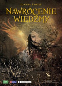 Obrazek Nawrócenie wiedźmy