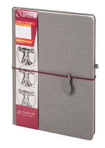 Obrazek Renesans B5 Notes kropki szary