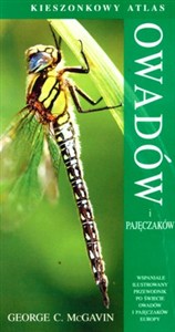 Obrazek Kieszonkowy atlas owadów i pajęczaków