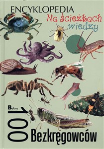 Obrazek Na ścieżkach wiedzy. 100 bezkręgowców