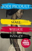 Polska książka : Małe wielk... - Jodi Picoult