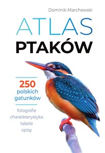 Obrazek Atlas ptaków