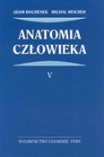 Anatomia c... - Adam Bochenek, Michał Reicher -  Książka z wysyłką do UK