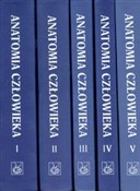 Anatomia c... - Adam Bochenek, Michał Reicher -  Polish Bookstore 