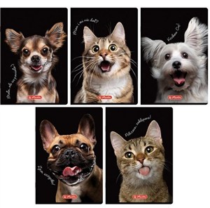 Obrazek Zeszyt A5/60K kratka z marginesem Animals (10szt)