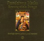 polish book : Przedziwna... - Roman Mazurkiewicz