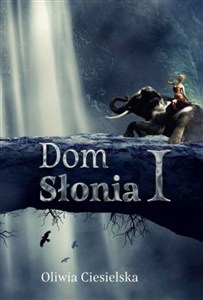Picture of Dom Słonia I