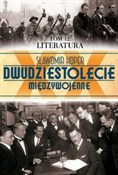 Literatura... - Sławomir Koper - Ksiegarnia w UK