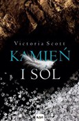 Książka : Kamień i s... - Victoria Scott