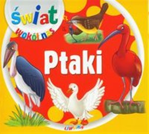 Obrazek Ptaki Świat wokół nas