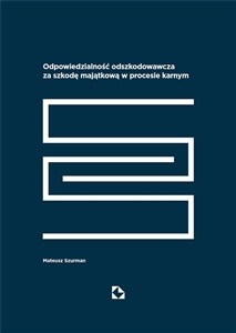 Obrazek Odpowiedzialność odszkodowawcza za szkodę...