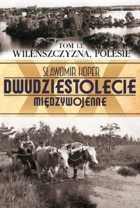 Obrazek Wileńszczyzna Polesie Tom 13