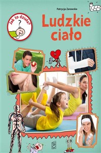 Obrazek Jak to działa? Ludzkie ciało