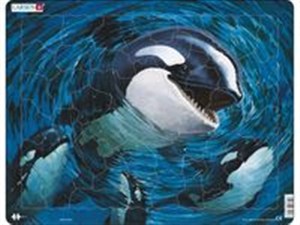 Picture of Orka