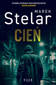 Obrazek Cień