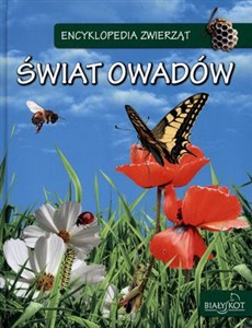 Obrazek Encyklopedia zwierząt Świat owadów
