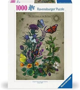 Obrazek Puzzle 1000 Cykl życia motyla
