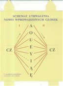 polish book : Schemat ut... - Antoni Balejko