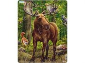 Łoś -  books from Poland