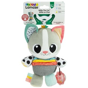 Obrazek Kotek Klemens