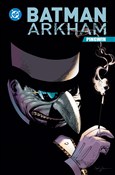 Batman Ark... - Joe Staton -  Polish Bookstore 