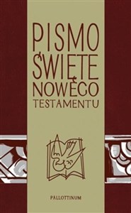 Picture of Pismo Świete - NT z ilustracjami