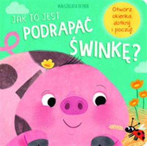 Obrazek Jak to jest podrapać świnkę?