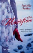 Jaskółka i... - Santa Montefiore -  books in polish 